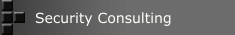 Security Consulting