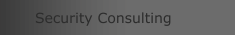 Security Consulting